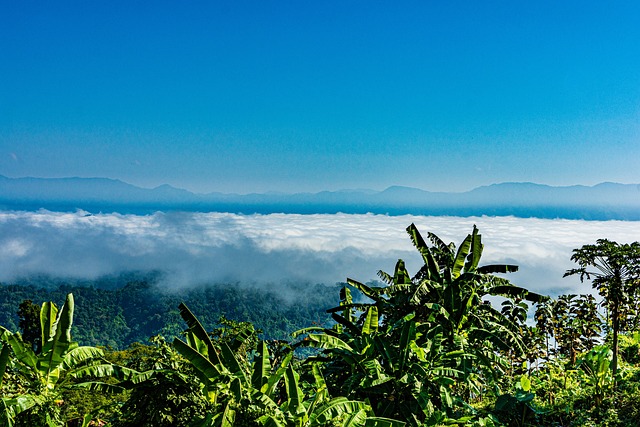 Sajek Valley Rangamati